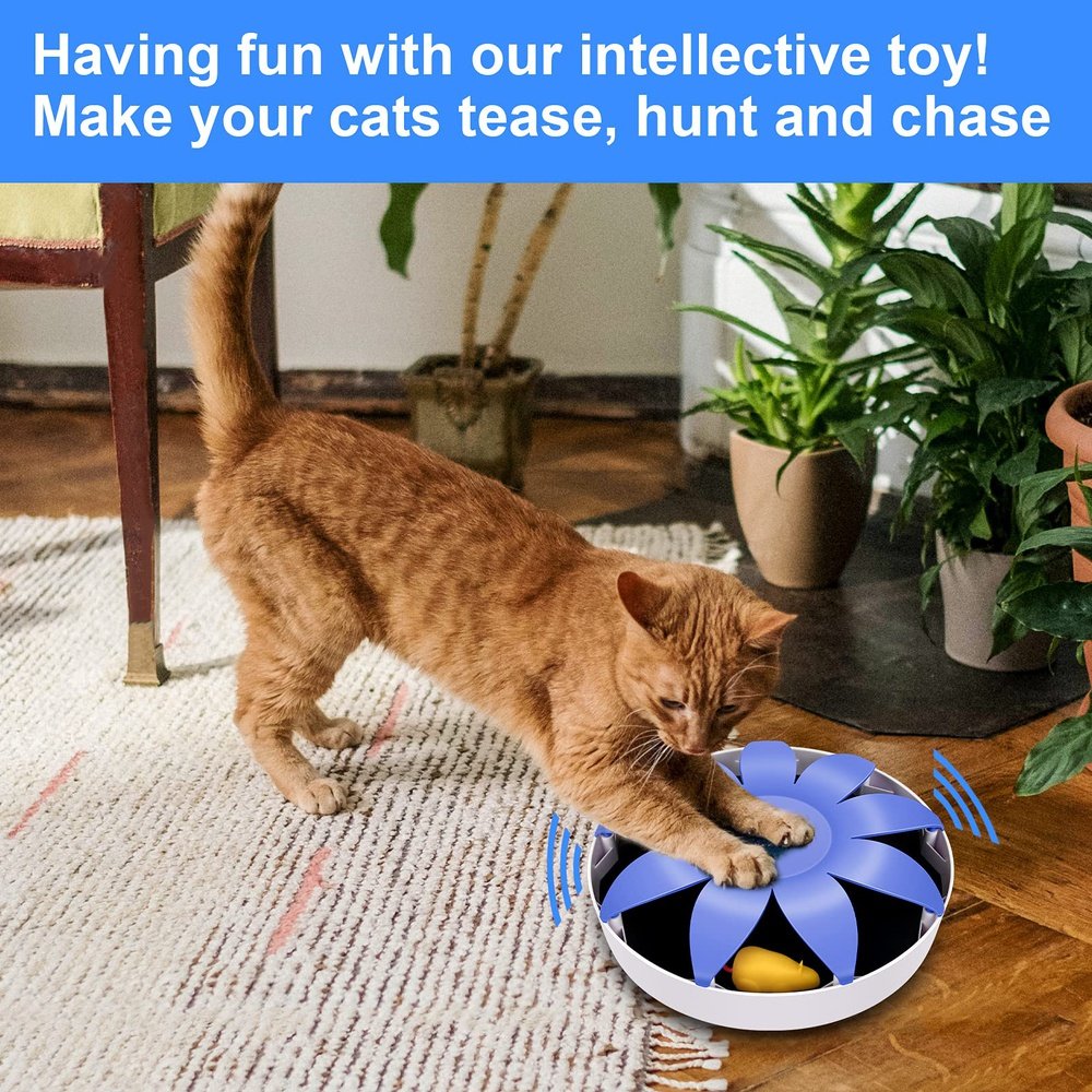 Automatic Electric Magnetic Spinning Cat Toys Simple Deluxe